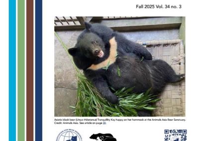 Estrategias de Adaptación Basada en Ecosistemas para el Oso Andino